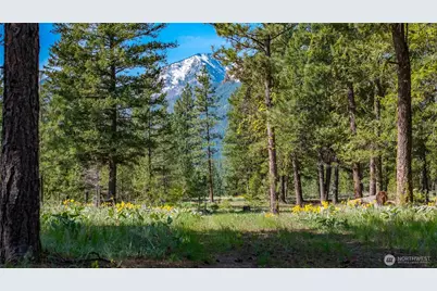 0 Tbd Mineral Hill Road, Conconully, WA 98819 - Photo 25