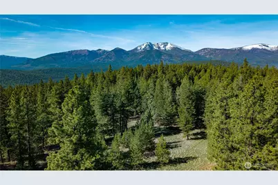 0 Tbd Mineral Hill Road, Conconully, WA 98819 - Photo 7