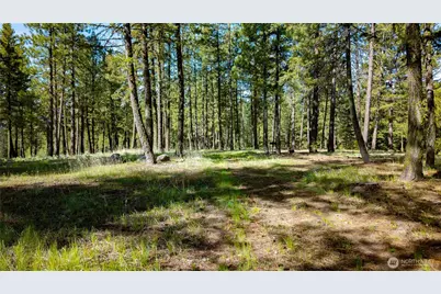 0 Tbd Mineral Hill Road, Conconully, WA 98819 - Photo 21