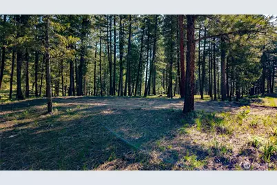 0 Tbd Mineral Hill Road, Conconully, WA 98819 - Photo 19