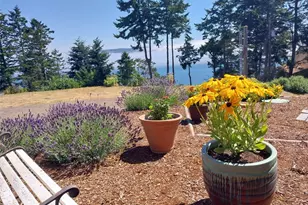 382 Discovery Way, Sequim, WA 98382 - Photo 39