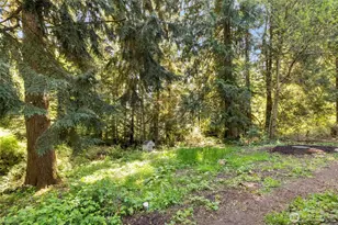 7831 Phillips Rd SE, Port Orchard, WA 98367 - Photo 19