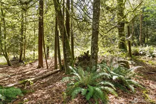 7831 Phillips Rd SE, Port Orchard, WA 98367 - Photo 21