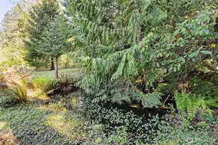 2252 Black Diamond Rd, Port Angeles, WA 98363 - Photo 31