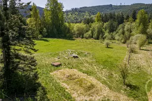 2252 Black Diamond Rd, Port Angeles, WA 98363 - Photo 35