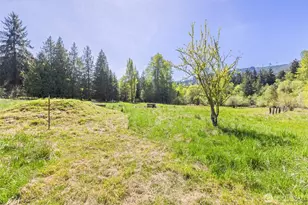 2252 Black Diamond Rd, Port Angeles, WA 98363 - Photo 21