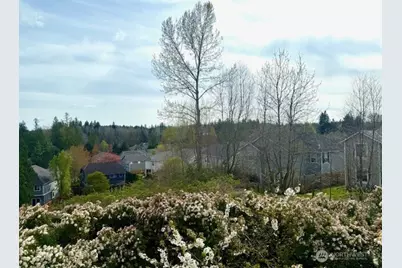 23419 NE 10th Place, Sammamish, WA 98074 - Photo 31