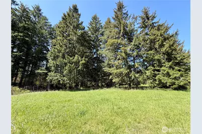 0 Xxx W Forest Green Lane, Elma, WA 98541 - Photo 23