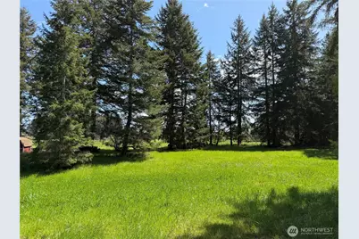 0 Xxx W Forest Green Lane, Elma, WA 98541 - Photo 17