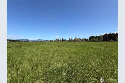 0 Xxx W Forest Green Lane, Elma, WA 98541 - Photo 3