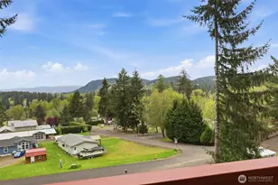 132 Lake Terrace Dr, Mossyrock, WA 98564 - Photo 31