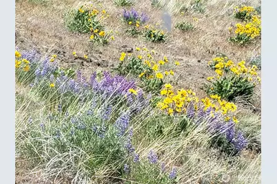 3671 W Sun East Road, Ellensburg, WA 98926 - Photo 19