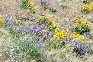 3671 W Sun East Rd, Ellensburg, WA 98926 - Photo 19