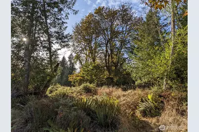 681 E Jared Road, Shelton, WA 98584 - Photo 3