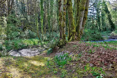 293515 US Highway 101, Quilcene, WA 98376 - Photo 35