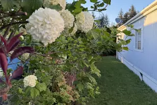 11 Donder Rd, Shelton, WA 98584 - Photo 25