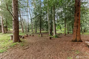 12921 208th Ave Ct E, Bonney Lake, WA 98391 - Photo 33