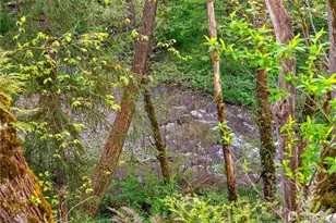 3900 228th Ave SE, Enumclaw, WA 98022 - Photo 35