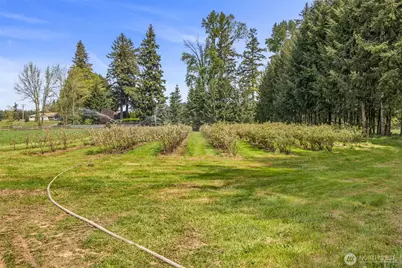 761 State Route 508, Chehalis, WA 98532 - Photo 3