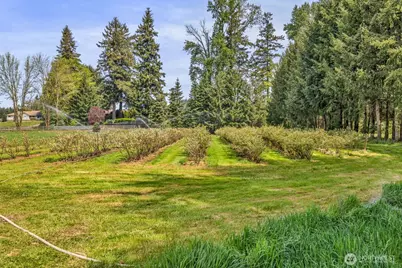 761 State Route 508, Chehalis, WA 98532 - Photo 17