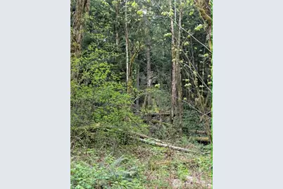 0 Xxxxx, Baring, WA 98224 - Photo 11