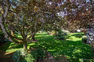 6343 Sand Point Way NE, Seattle, WA 98115 - Photo 5