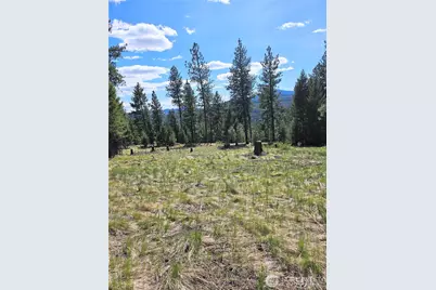 168 Prior Loop Road, Oroville, WA 98844 - Photo 1