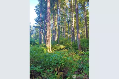 11302 106th Street, Anderson Island, WA 98303 - Photo 1