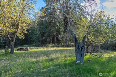 10610 E Hallett, Spokane, WA 99206 - Photo 19