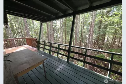 41 N Mt Rose Avenue, Hoodsport, WA 98548 - Photo 23