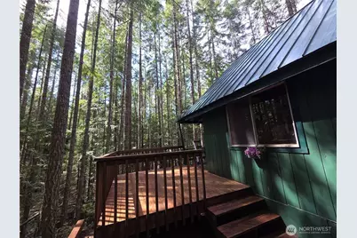 41 N Mt Rose Avenue, Hoodsport, WA 98548 - Photo 27