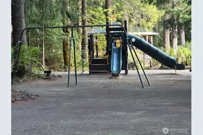 41 N Mt Rose Avenue, Hoodsport, WA 98548 - Photo 35