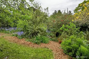 4008 NE 56th St, Seattle, WA 98105 - Photo 19