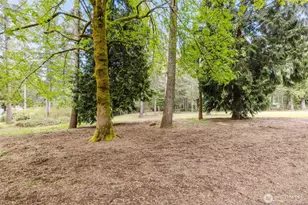3416 171 Ave Ct NW, Lakebay, WA 98349 - Photo 17