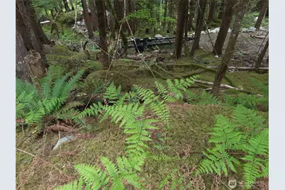 0 Cascade River Road, Marblemount, WA 98263 - Photo 9