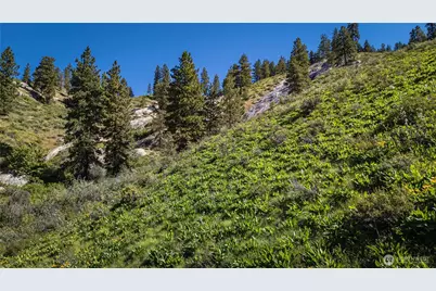 0 Sky Meadows Road, Cashmere, WA 98815 - Photo 13