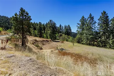 0 Sky Meadows Road, Cashmere, WA 98815 - Photo 37