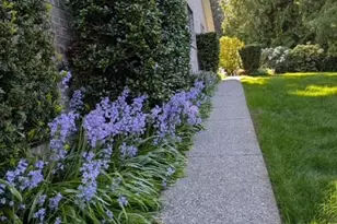 7810 175th St SW, Edmonds, WA 98026 - Photo 33