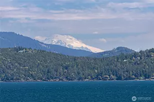 1378 San Juan Dr, San Juan Island, WA 98250 - Photo 39