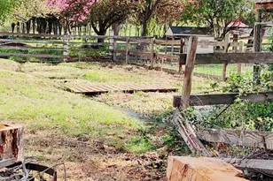 54068 Walla Walla River Rd, Milton-Freewater, OR 97862 - Photo 27