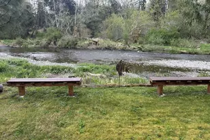 621 W Satsop Maple Glen, Elma, WA 98541 - Photo 21