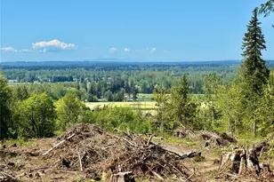 3809 Cabrant Rd, Everson, WA 98247 - Photo 37