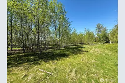 3809 Cabrant Road, Everson, WA 98247 - Photo 35