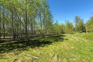 3809 Cabrant Rd, Everson, WA 98247 - Photo 35