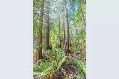 530 Montgomery Lane, Port Ludlow, WA 98365 - Photo 33