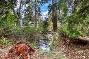 1620 186th Ave E, Lake Tapps, WA 98391 - Photo 31