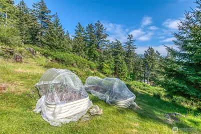 118 Cascade Way, Orcas Island, WA 98245 - Photo 35