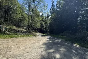 19911 State Route 165 E, Carbonado, WA 98323 - Photo 27