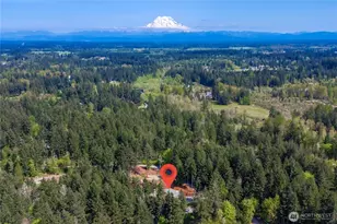7805 300th St Ct S, Roy, WA 98580 - Photo 35
