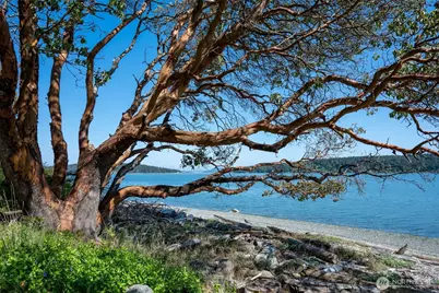 1484 Islandale Road, Lopez Island, WA 98261 - Photo 1